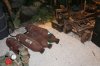 DSC08232.jpg