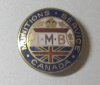 IMB Pin.JPG