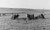 105mm Pack-How (Italian) - 1.jpg 105mm Pack-How (Italian) - 1.jpg