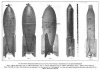 Bombs, Army Ord. Vol.2 No.8, 1921,j1.jpg