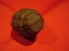 DSC00056-2.jpg