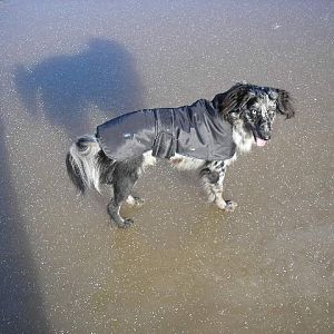 if you cant swim in it you wont need a bath!