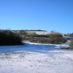 Perham down