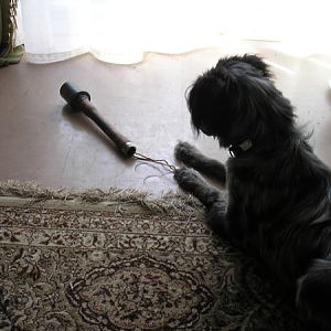 "what's this bit of string do dad?"