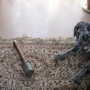 He's got bigger & faster! did'nt think he'd fetch it back so quick!!