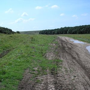 This area was used as a live firing training area during WW2