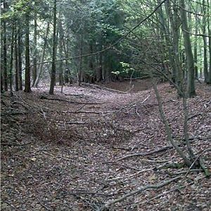 Ancient ditch & banks