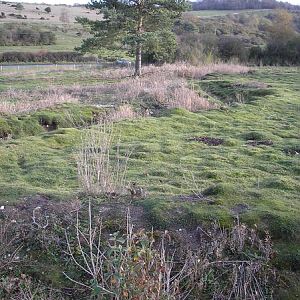 WW1 practice trench