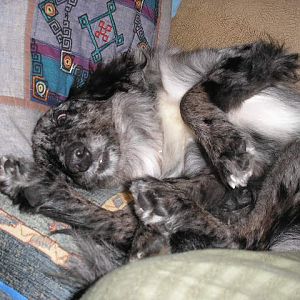 how he can sleep like this I'll never know