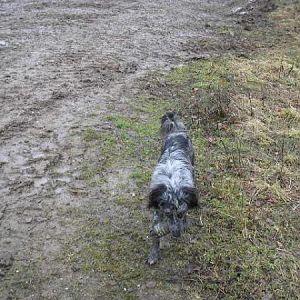 Ollie Being A Womble With Smoke Grenades