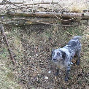 Giving It Large In A Foxhole