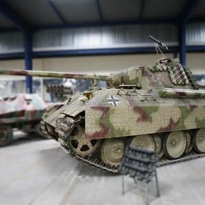 Panther In Saumur