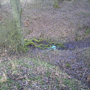 Shell Crater With Slip Trench cut into it,Bellewaard Wood.