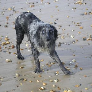 Giving It Large On The Beach