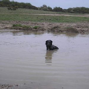 If It's Not Deep Enough To Swim In Anymore,i'll Just Sit In It!
