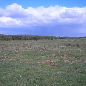 Bulford Flats