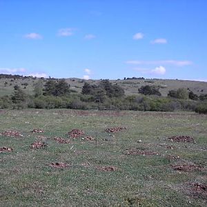 Bulford Flats