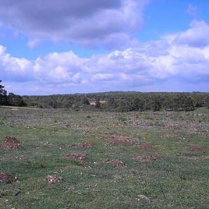 Bulford Flats