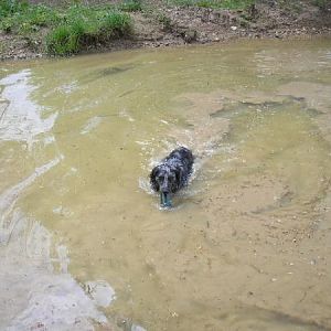 Ollies Two Favorites-muddy Puddles & Smoke Grenades
