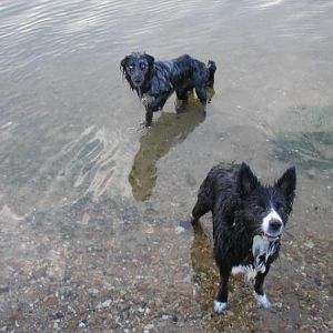 Soon To Be Mum & Dad (groan!)