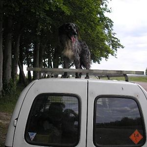 No! You Can't Go Van Surfing!