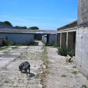 Baden Down Farm