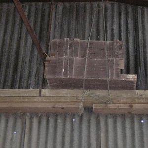 Old Ammo Boxes Used For Owl Nest Box(baden Down)