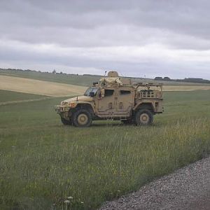 More Toys