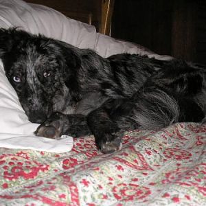 If Mum Catches You On The Bed!
