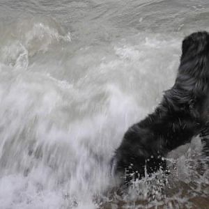 Surfs Up!