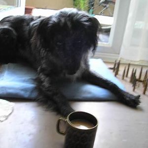 Hey Dad Can You Blow In Your Tea For Me?