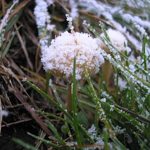 First Dusting Of Snow On The Plain