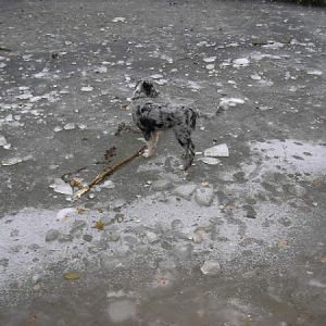 Big Freeze Part Two