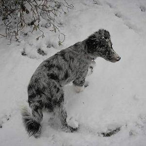 Our Little Man In The Snow