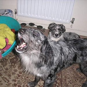 'this Is How You Ask Son'