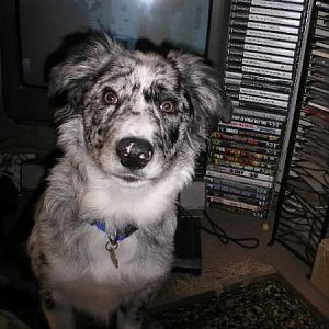 'what Do You Mean You're Trying To Watch Telly Dad'?