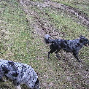 out on a muddy plain