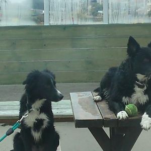 Milos Mum and brother,Milly and Noaks