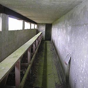 Blast Shelter 3