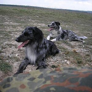 A rare sight with these two!