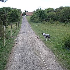 Bulford ranges(2)