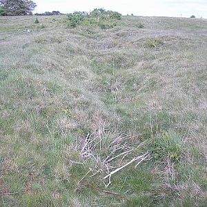 Old grenade trench