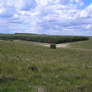 Wartime live firing training area