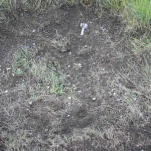 81mm HE impact crater