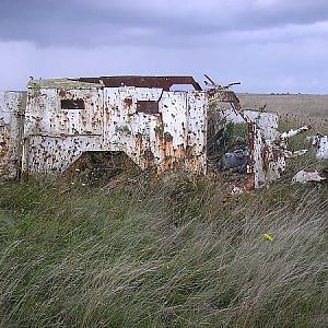 Humber pig