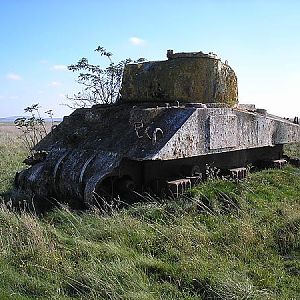 Sherman