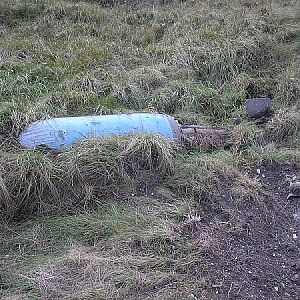 1,000 pr with fin and chute remains