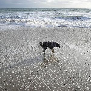 Well wev'e been to the seaside do you want to go to the zoo tomorrow?