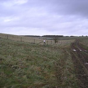 Chisenbury