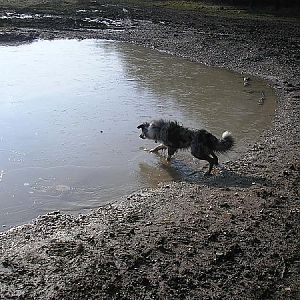Dad, why has the puddle gone hard?